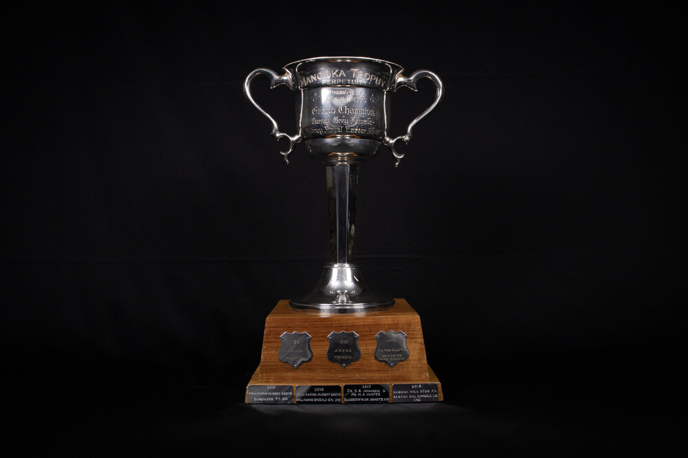 Manooka Perpetual Trophy