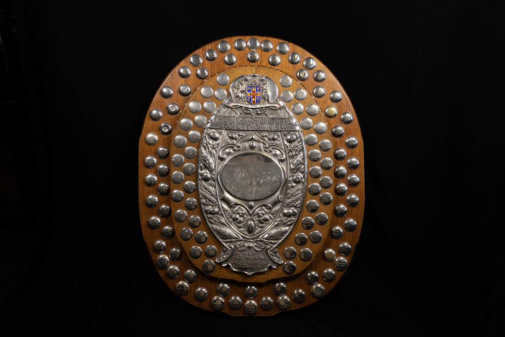 District Exhibit Perpetual Shield