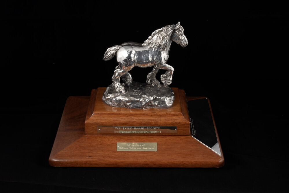 Shire Horse Society Australia Perpetual Trophy