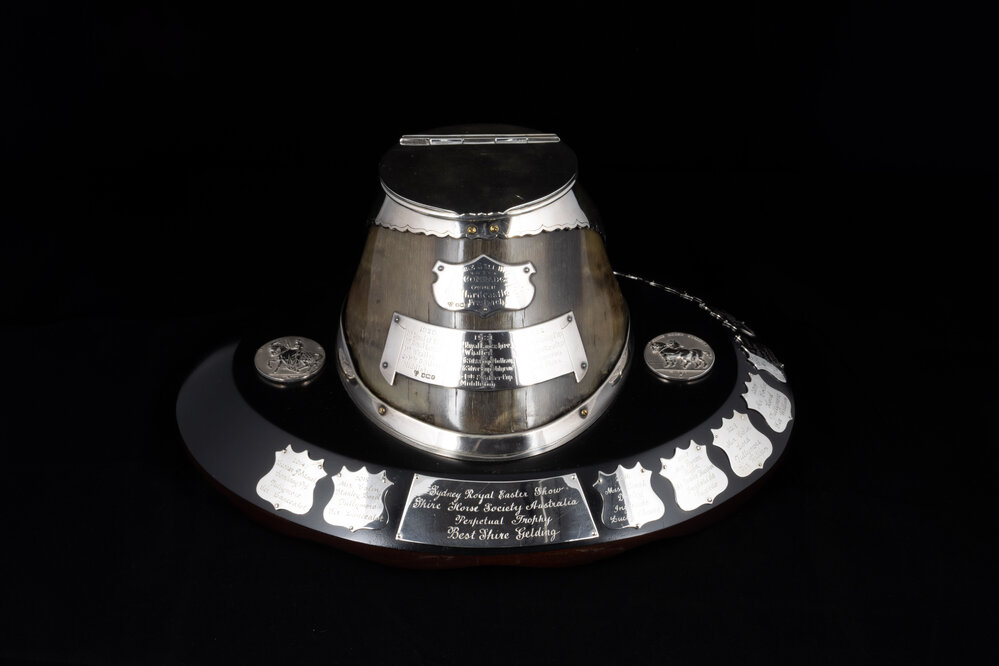 Shire Horse Society Australia Perpetual Trophy (Gelding)