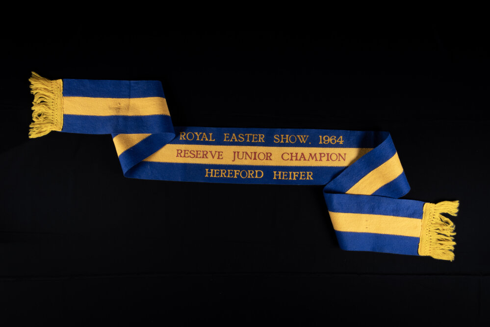 Reserve Junior Champion Ribbon, 1964