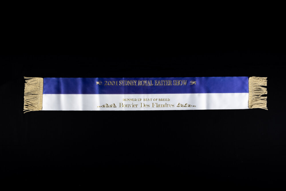 Runner Up Best of Breed Ribbon, 2001