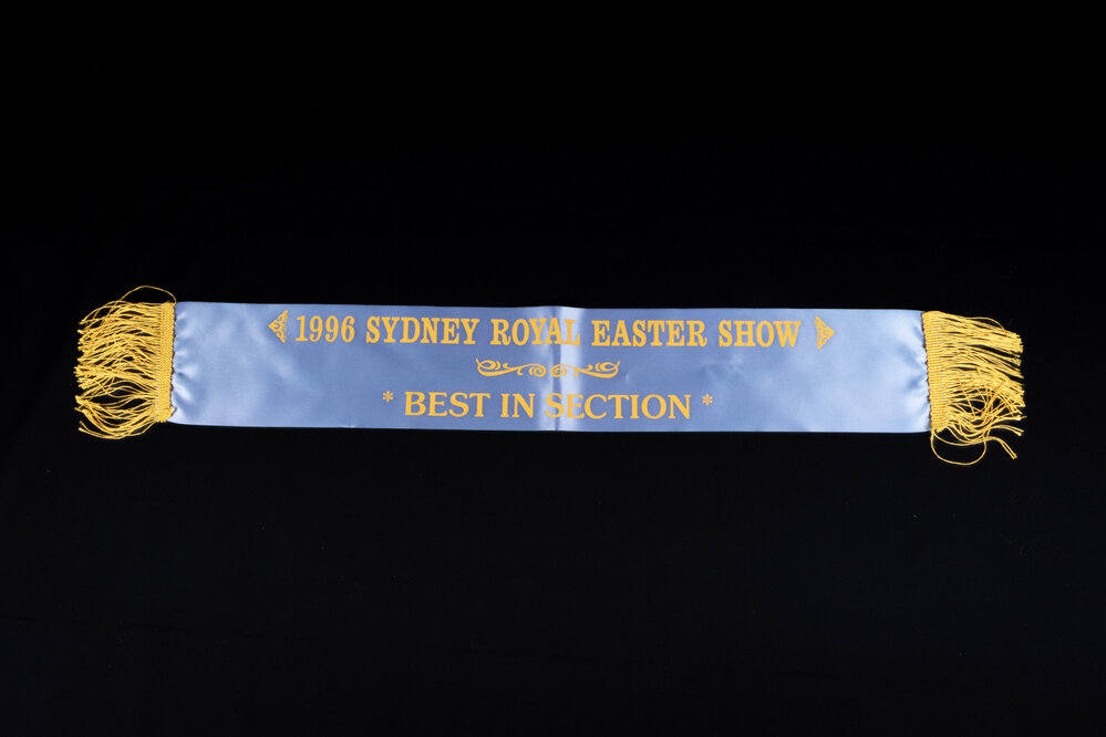 Best in Section Ribbon, 1996