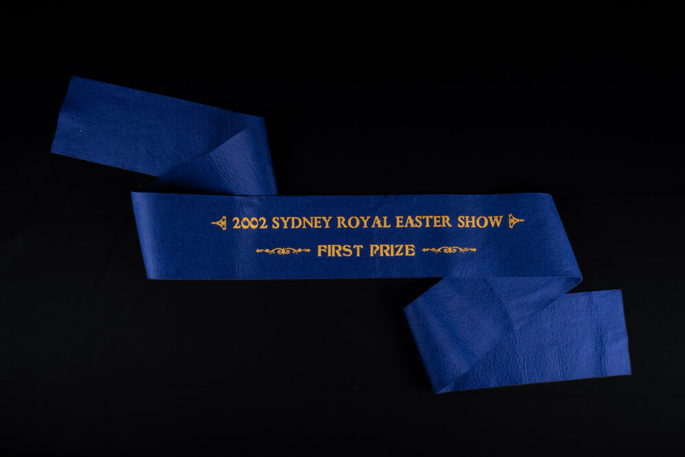 First Prize Ribbon, 2002