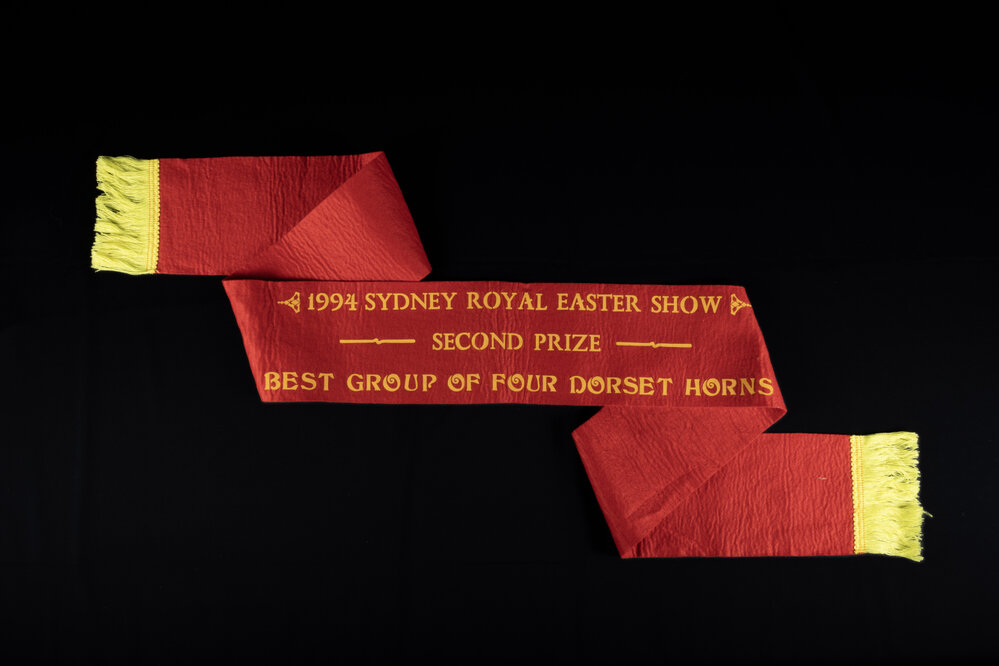 Second Prize for Four Dorset Horns Ribbon, 1994