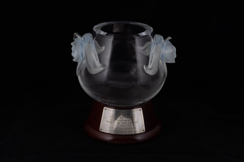Stan Hill Memorial Perpetual Trophy