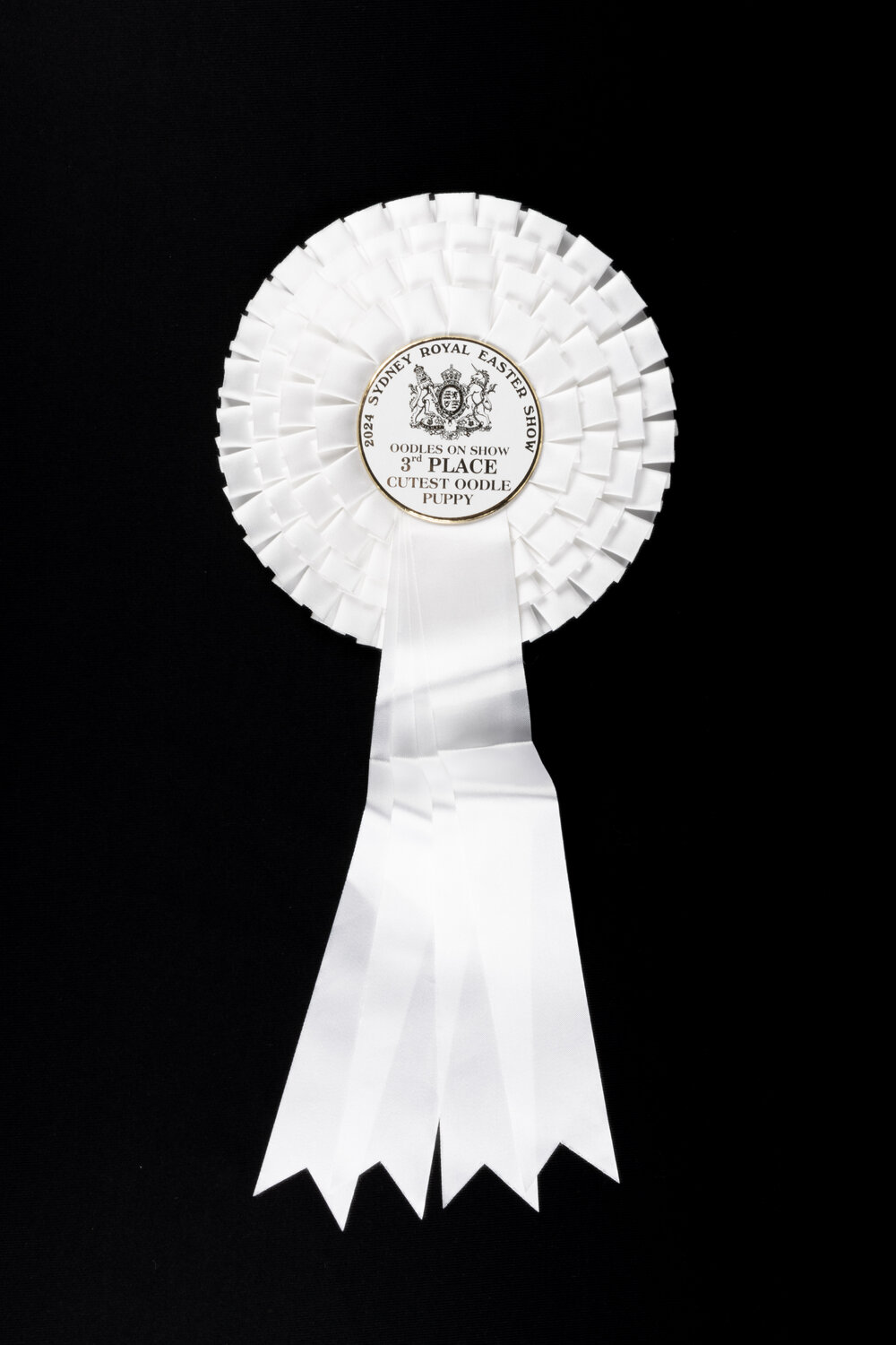 Third Place Cutest Oodle Puppy Rosette, 2024