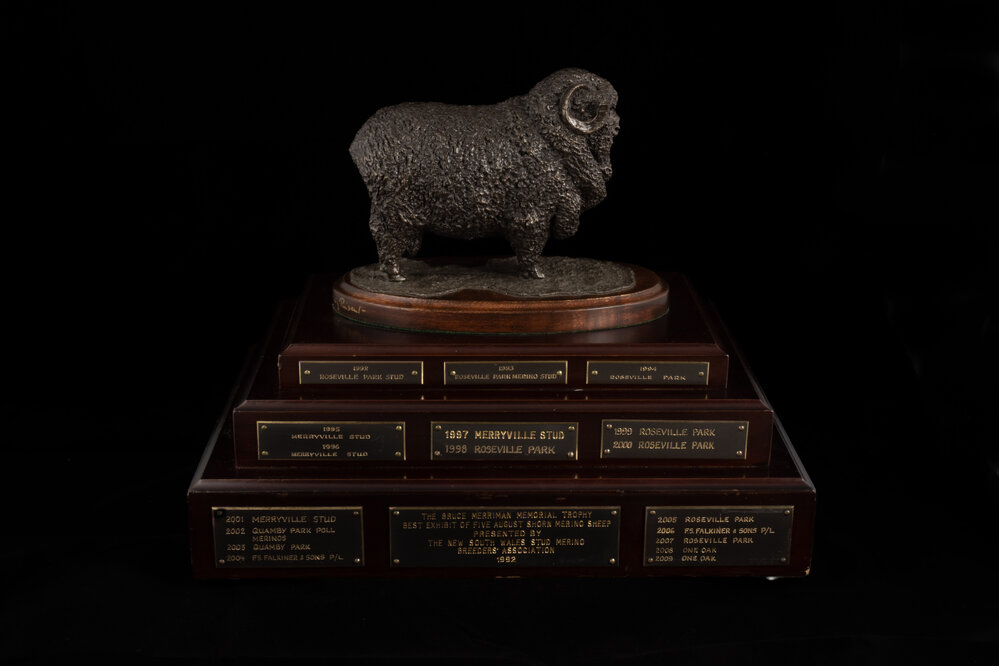Bruce Merriman Memorial Perpetual Trophy