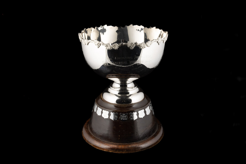 National Whippet Bowl Perpetual Trophy