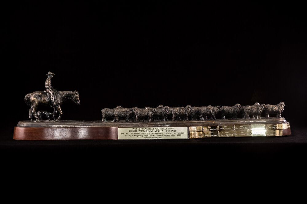 Hugh Lydiard Memorial Perpetual Trophy