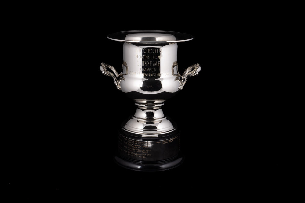 Nico Botha Perpetual Trophy