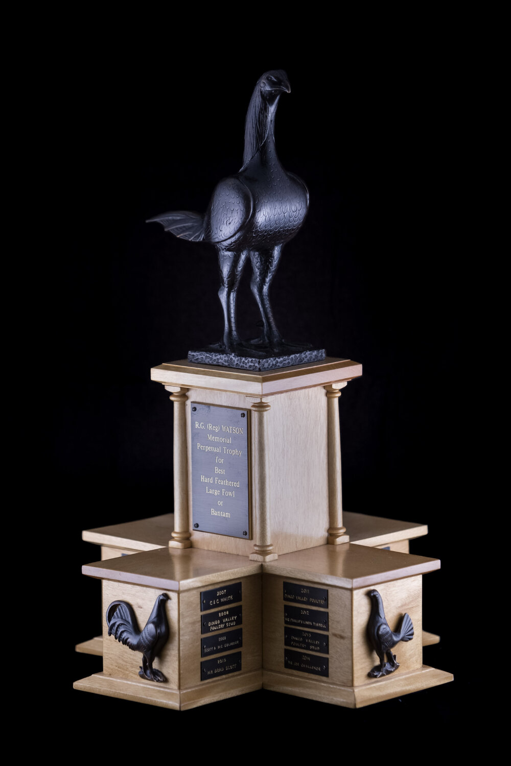 Reg Watson Memorial Perpetual Trophy