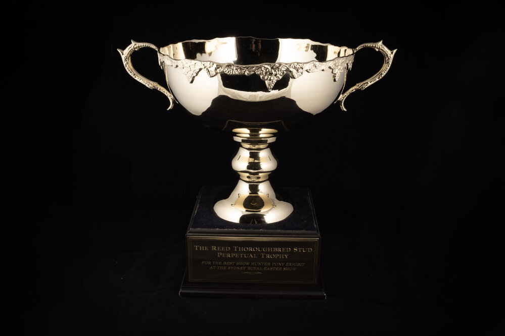 Reed Thoroughbred Stud Perpetual Trophy