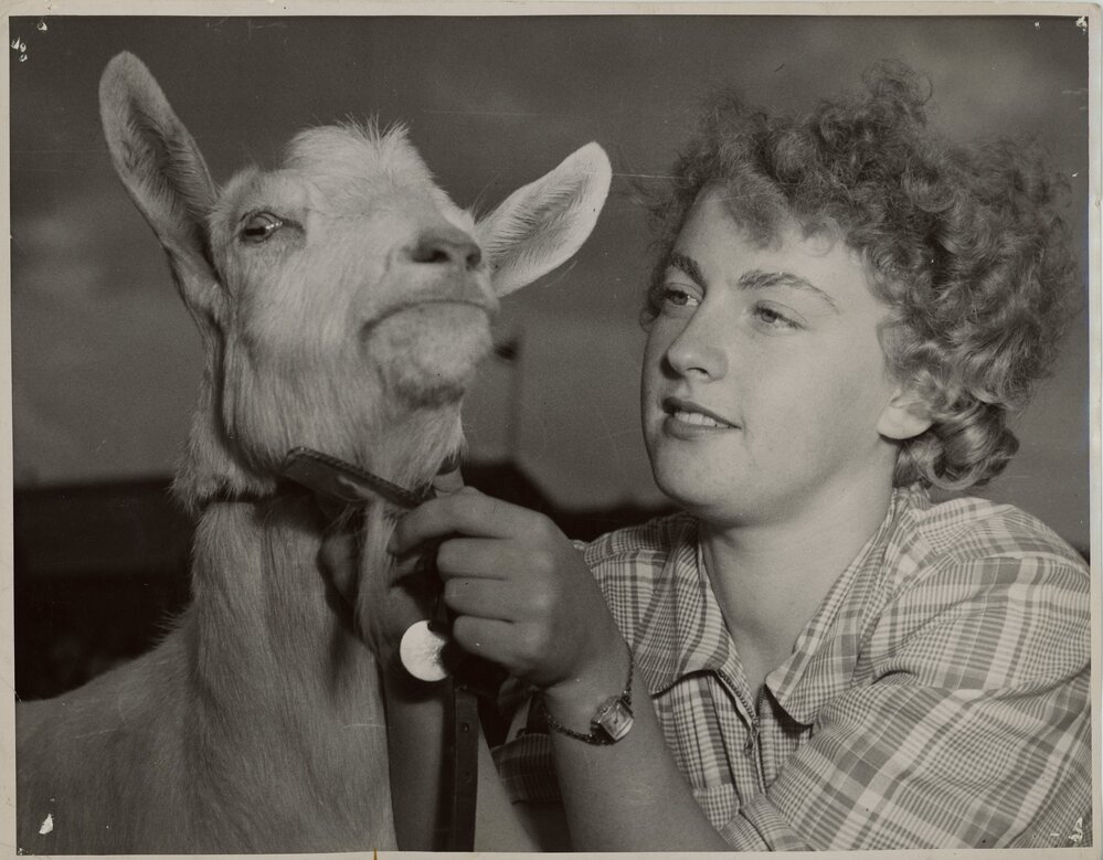 Girl Combing a Goat, 1952