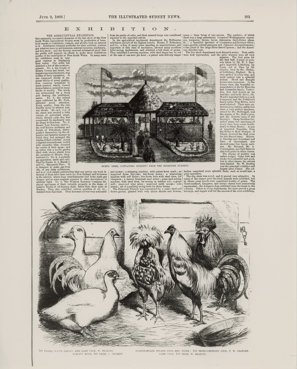 Agricultural Exhibition of NSW, 1869