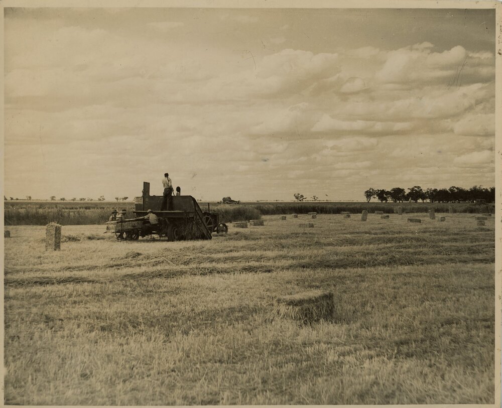 Group of Farmers Making Hay Bales, c.1940