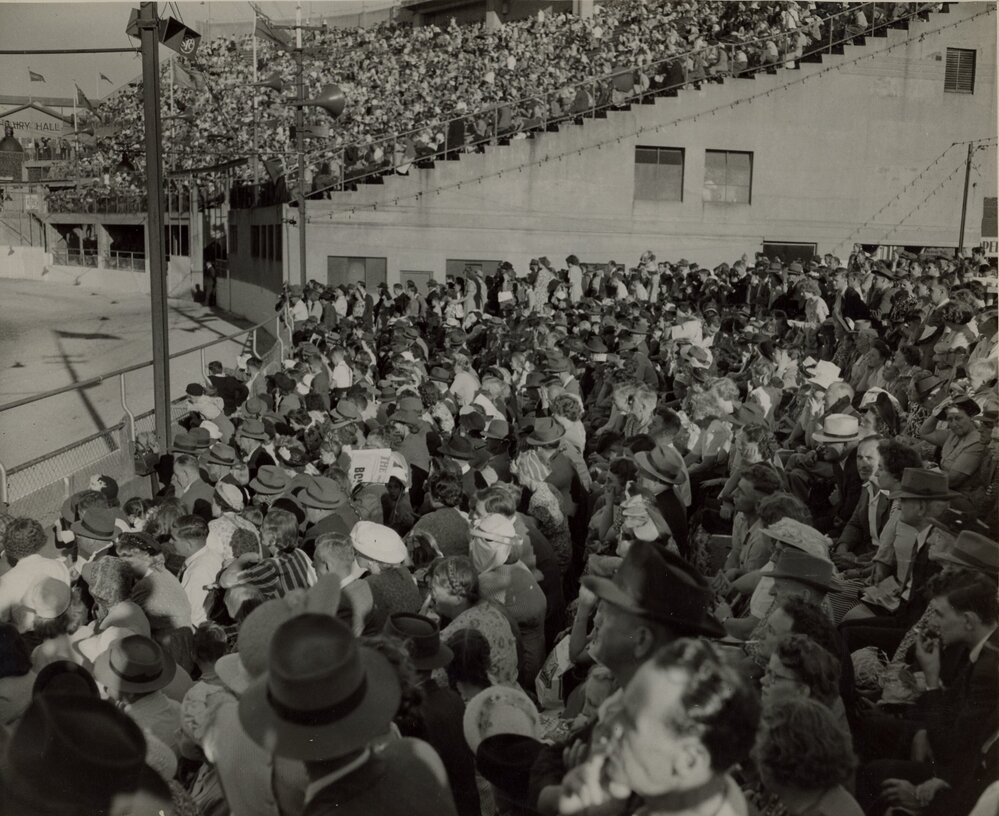 Crowd Watching Main Arena Ring Events, c.1950