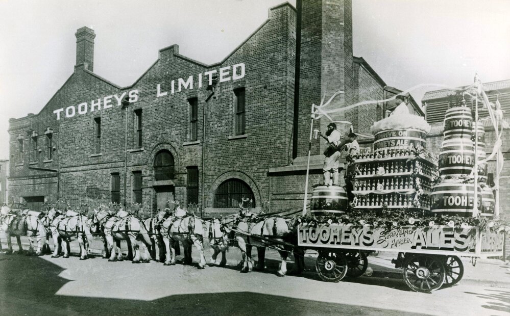 Clydesdale drawn wagon, c.1915