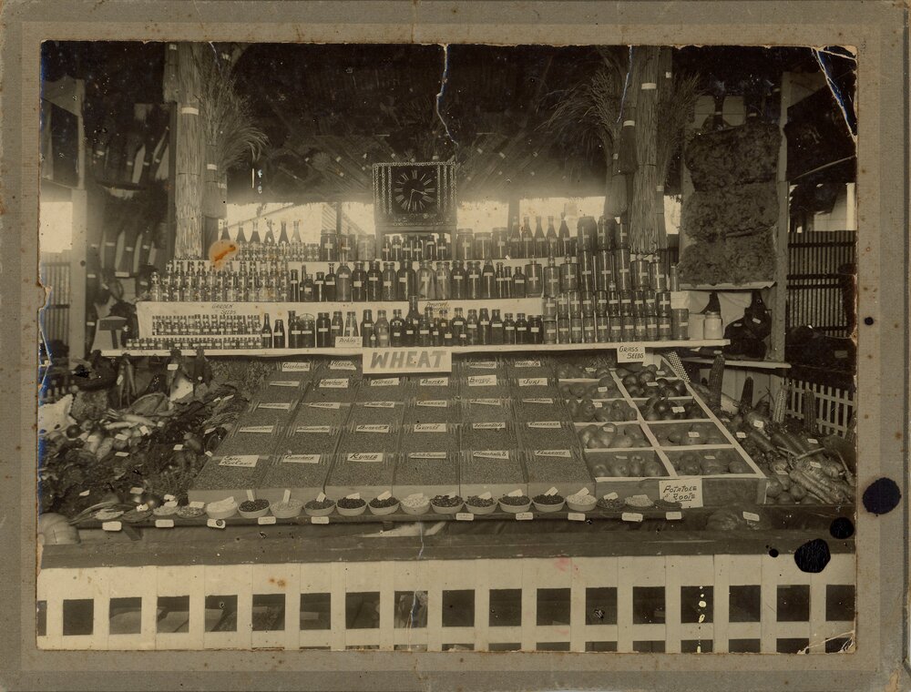 One-Man Agricultural Exhibit, c.1926