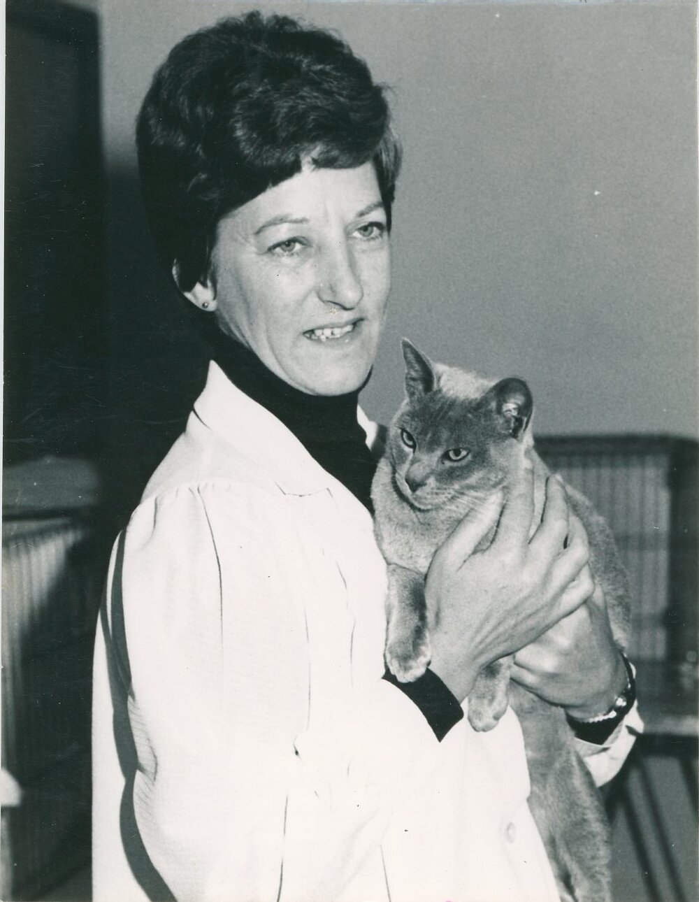 Shorthaired Kitten Barrier District Cat Show