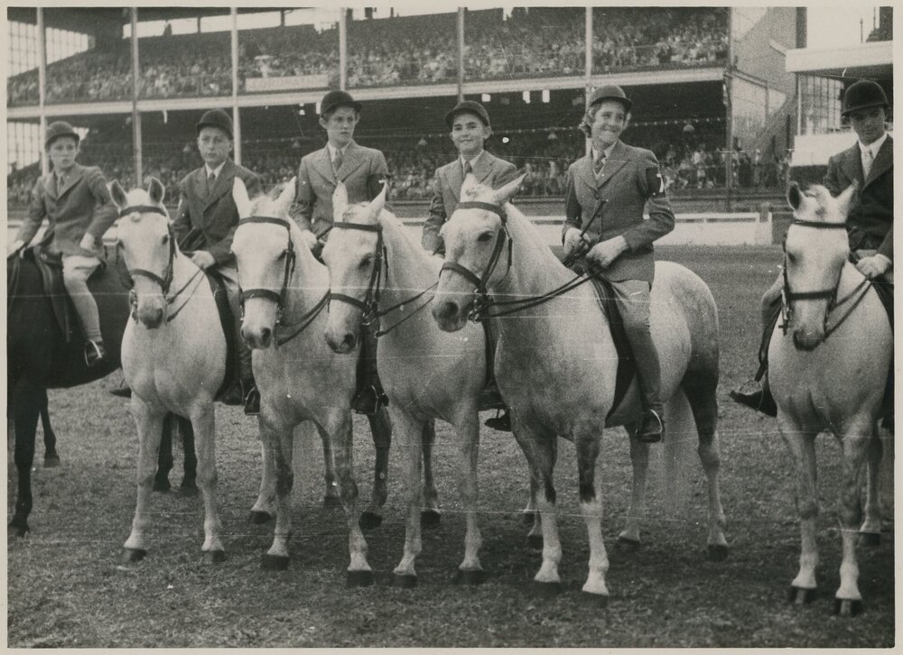 Pony Club Lineup, 1953