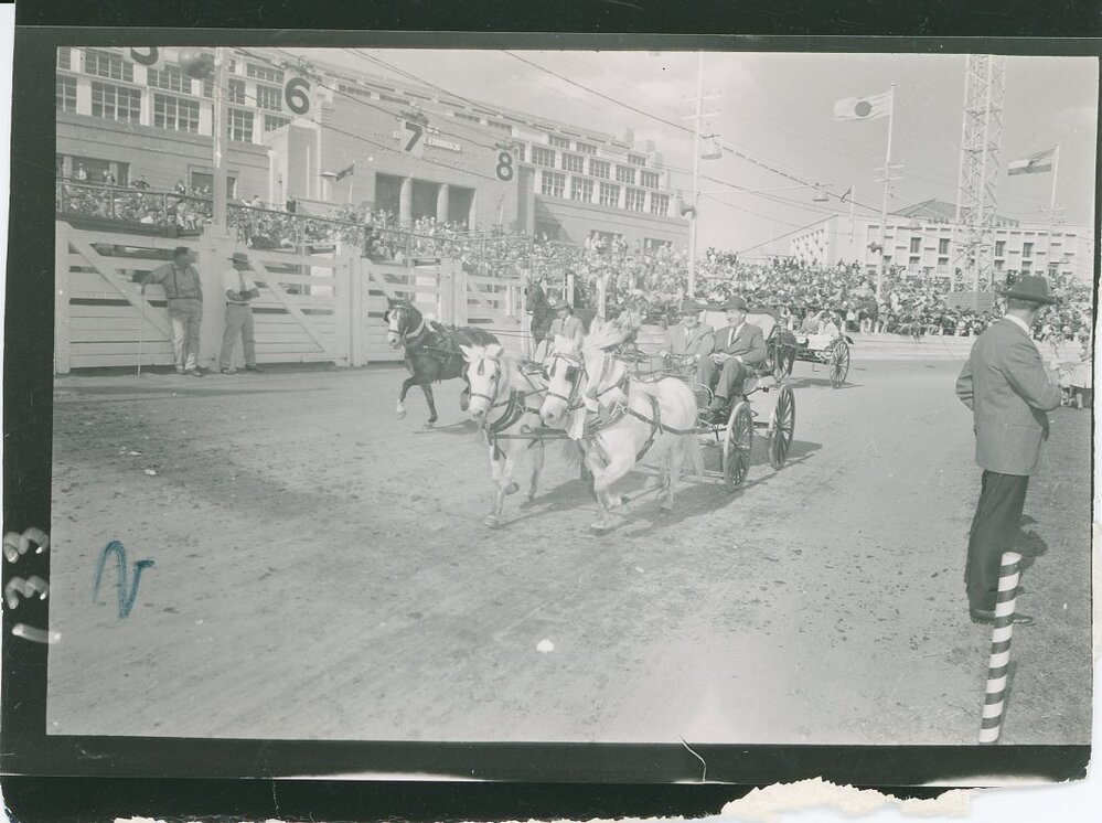 Horse Drawn Vehicles in Main Arena, c.1950