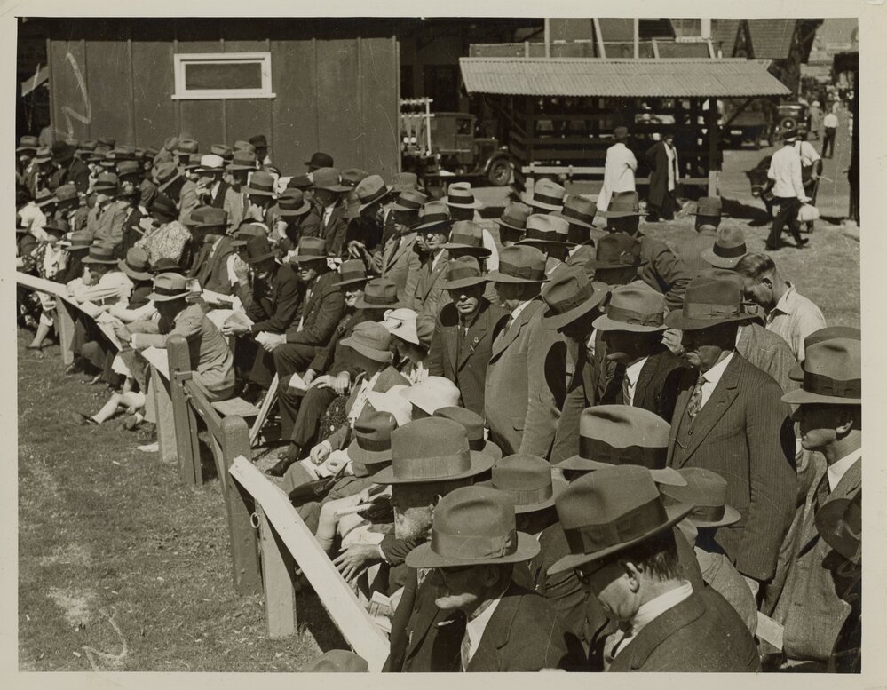 Cattle Judging, c.1940