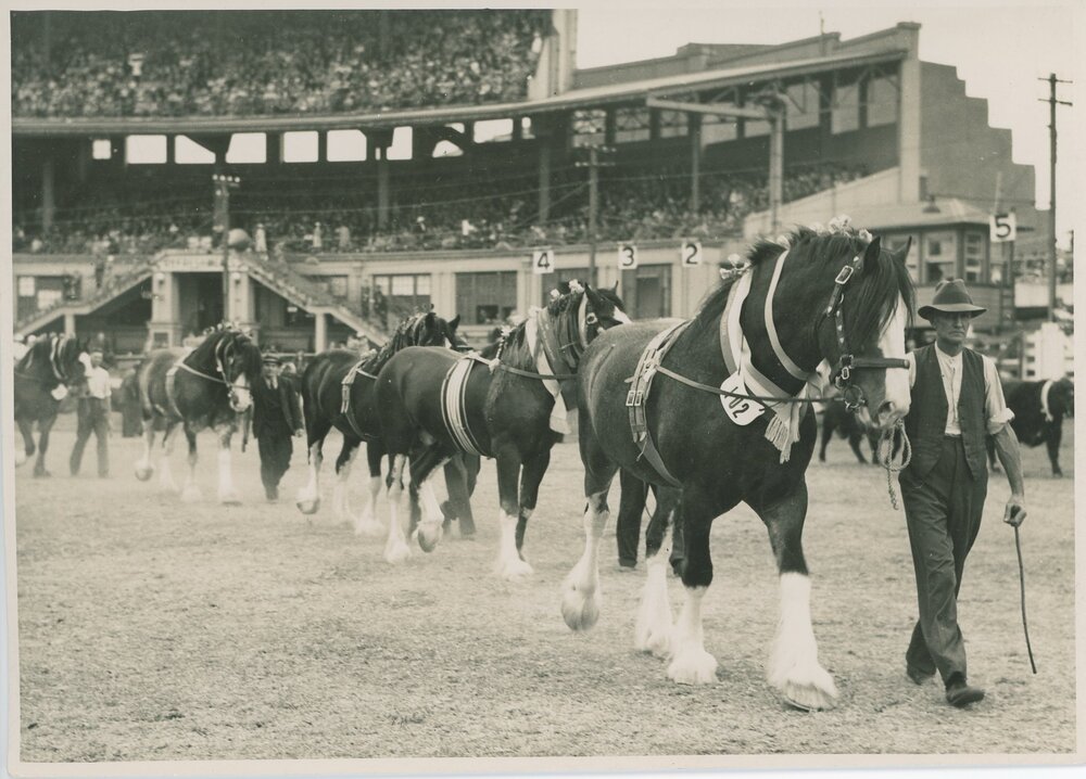 Clydesdales, c.1941