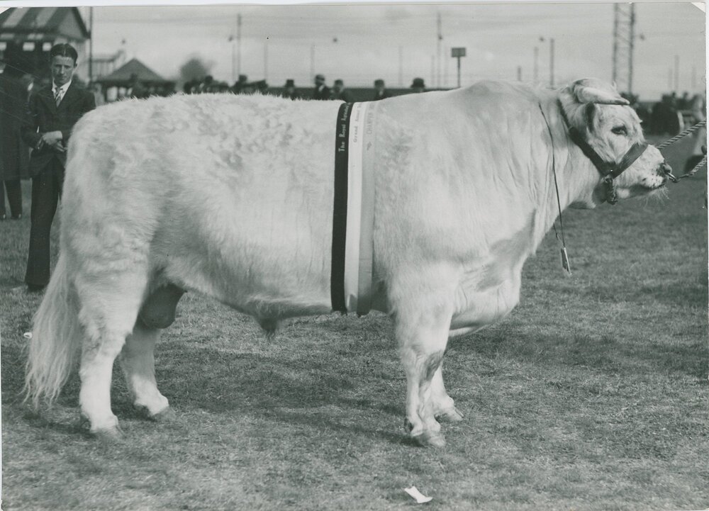 Coonong Formidable, c.1936