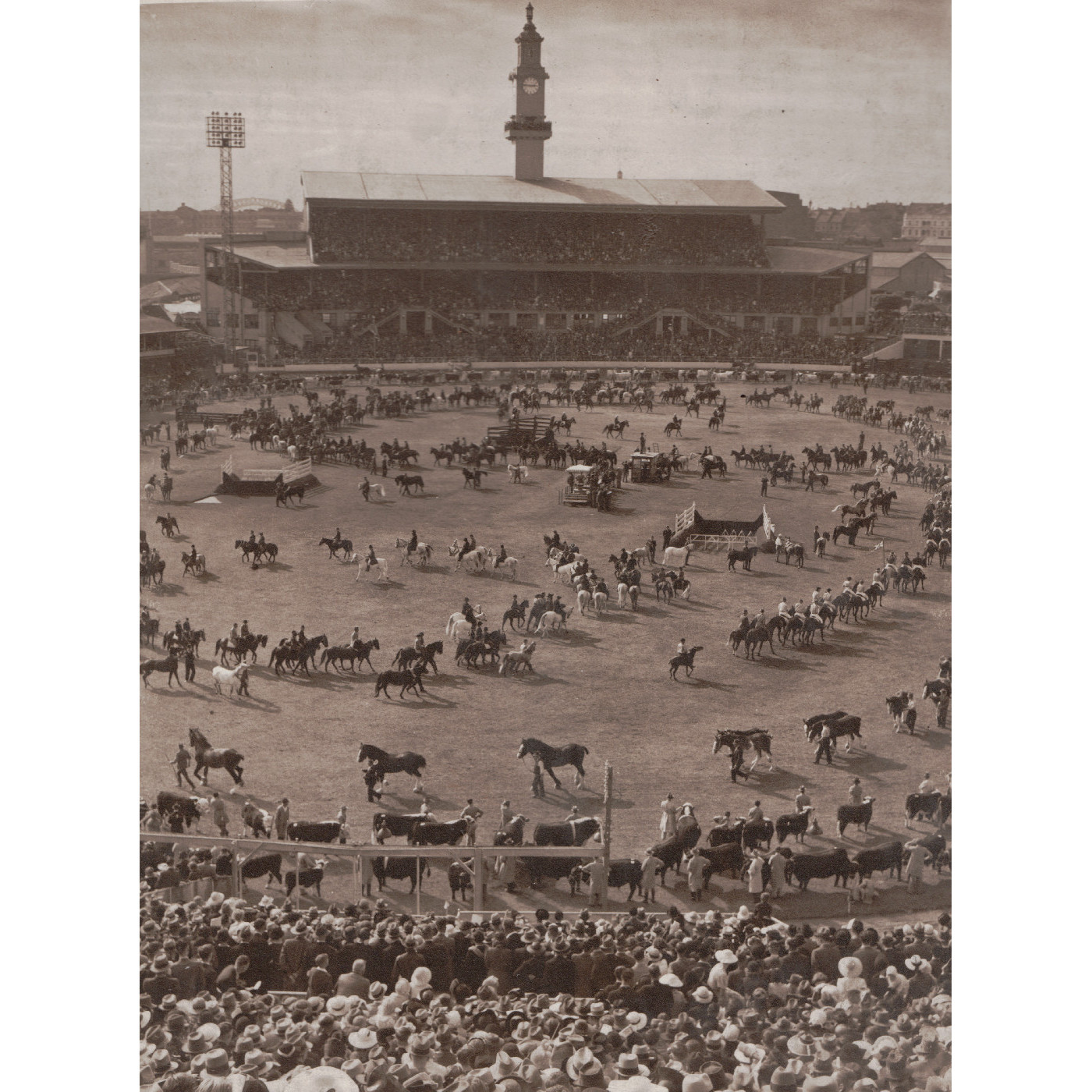 Grand Parade Heritage Highlight