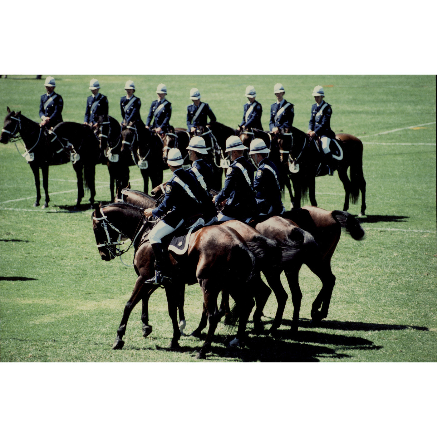 NSW Police Mounted Unit Heritage Highlight