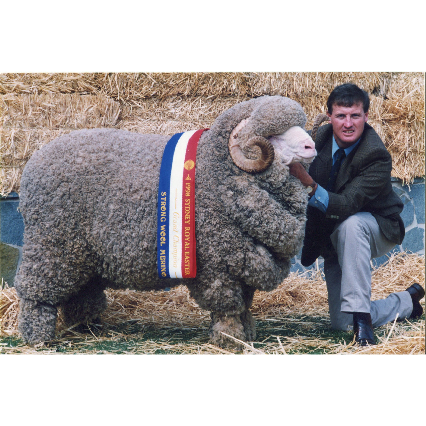 Sheep Show Heritage Highlight