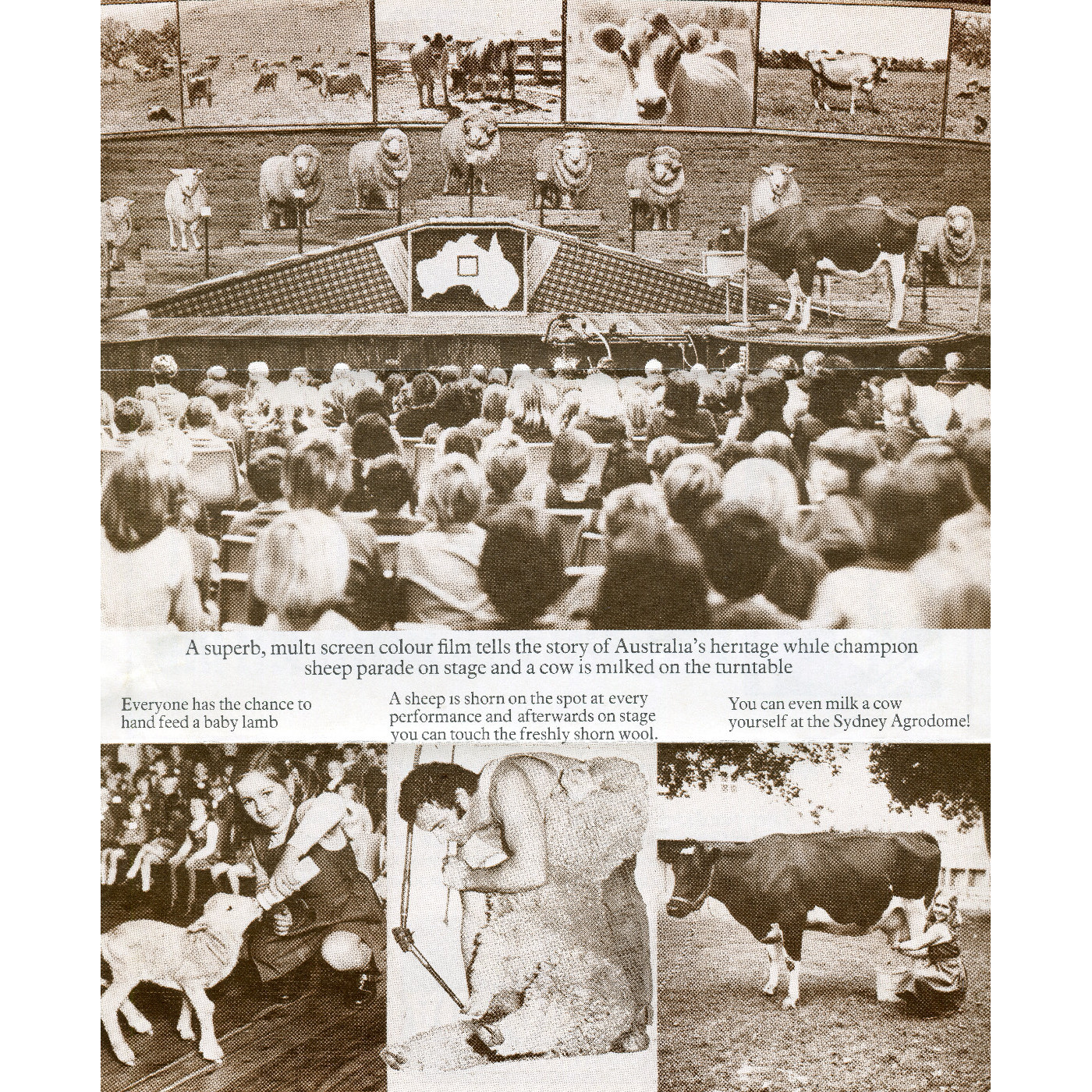 Sydney Agrodome Heritage Highlight