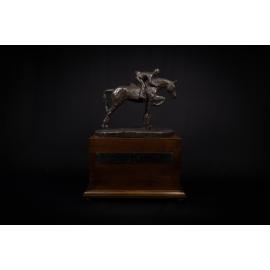 David Asimus Memorial Perpetual Trophy