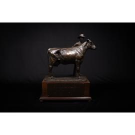 Alex MacLean Memorial Perpetual Trophy