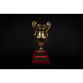 Mrs Ethel May George Memorial Perpetual Trophy 'Willastone Kennels'