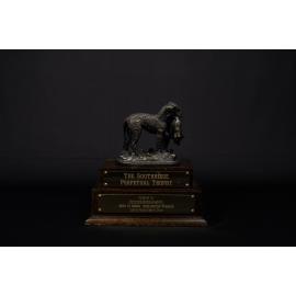 Southridge Perpetual Trophy