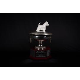 Elsie White Memorial Perpetual Trophy