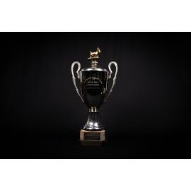 Doris Watson Memorial Perpetual Trophy