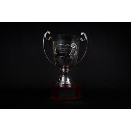 Best Breeders Group in Show Perpetual Trophy