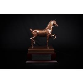 Thomas Dwyer Memorial Perpetual Trophy