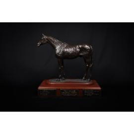 Tony Haynes Memorial Perpetual Trophy