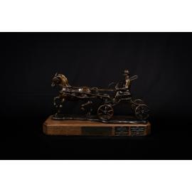 Allan Brown Perpetual Trophy