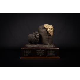 Thomas Farquhar Hodgson Memorial Perpetual Trophy