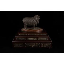 Bruce Merriman Memorial Perpetual Trophy