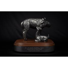 Dr Jim Watts Perpetual Trophy