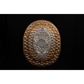 District Exhibit Perpetual Shield