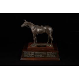 RAS ASHLA Ian Armstrong Perpetual Trophy