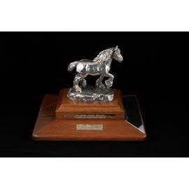Shire Horse Society Australia Perpetual Trophy
