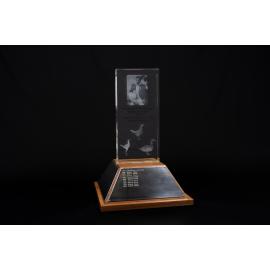Robert Hunt Perpetual Trophy